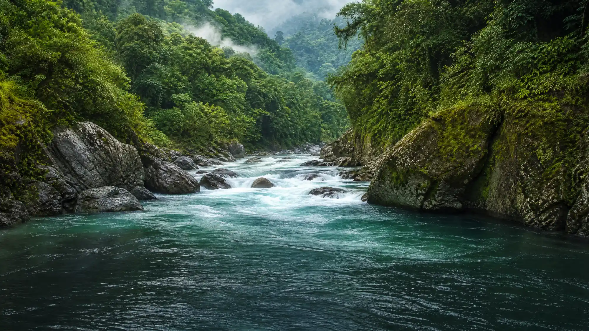 Navigieren Sie durch Stromschnellen der Klasse III und IV und durch Primärregenwald. Vergleichen Sie 1-tägige und mehrtägige Rafting-Touren, um die beste Option für Ihren Zeitplan zu finden.