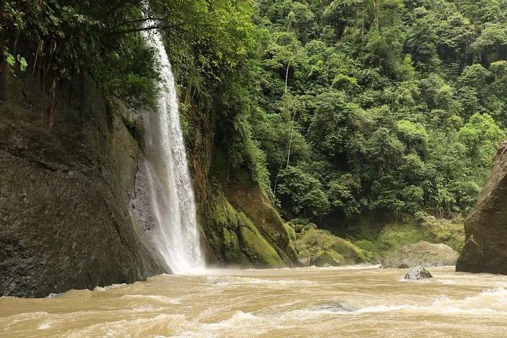 Ein Wasserfall, der über eine felsige, bewaldete Klippe in einen Fluss stürzt.