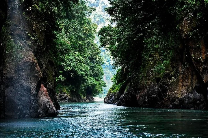 Vue sereine de la rivière traversant une gorge étroite et verdoyante